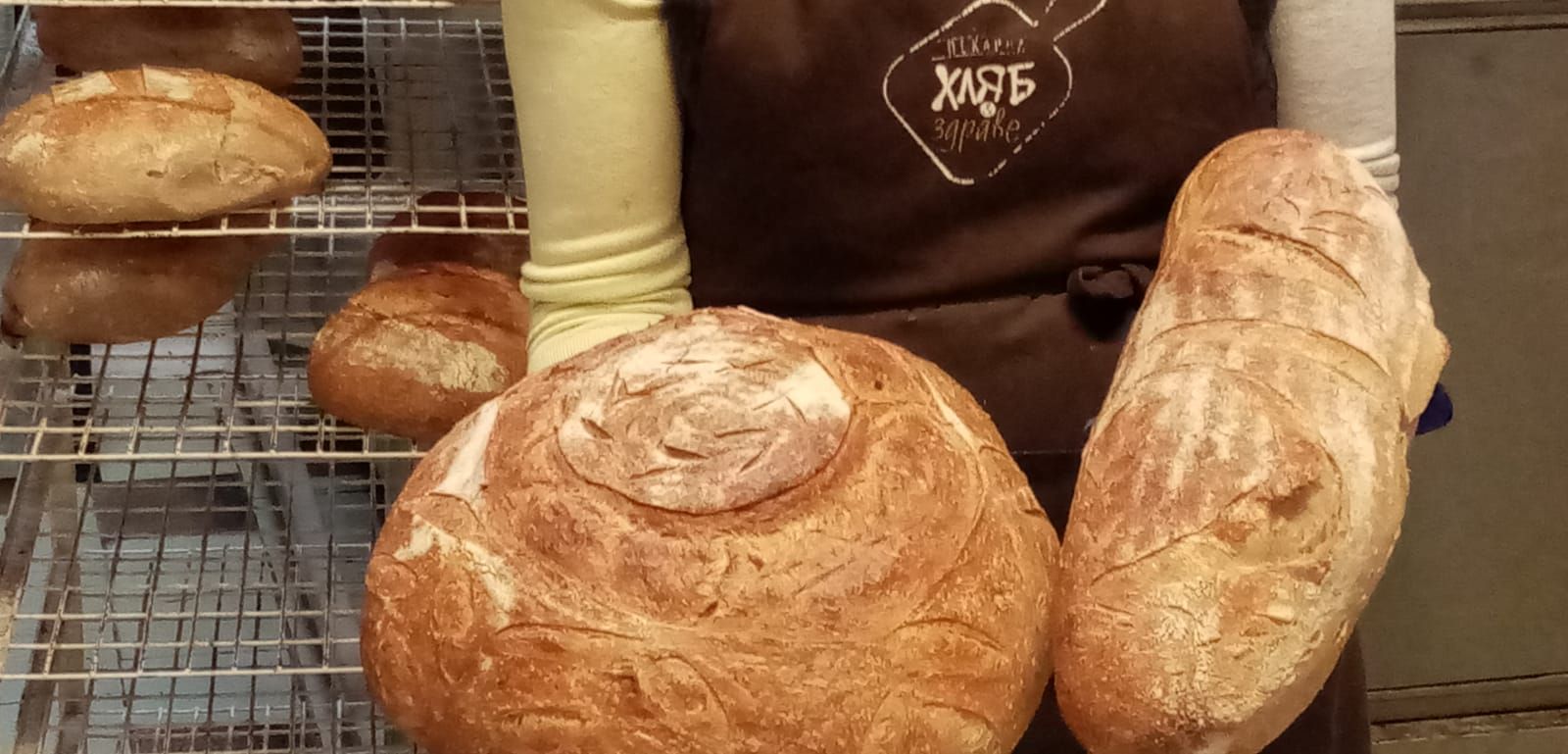 Дългият път на „Хляб и Здраве” – от мелницата до крайния потребител
