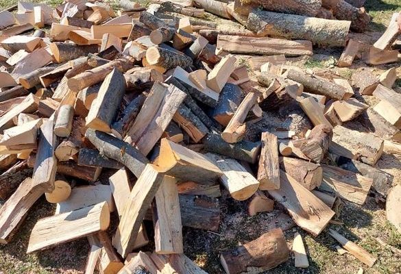 В понеделник започва записването за дърва за огрев в Чипровци