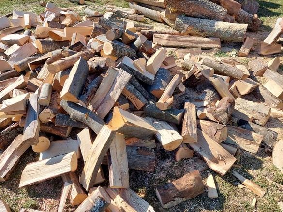 В понеделник започва записването за дърва за огрев в Чипровци