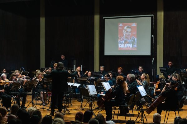 Симфониета – Видин с разнообразна концертна програма през ноември