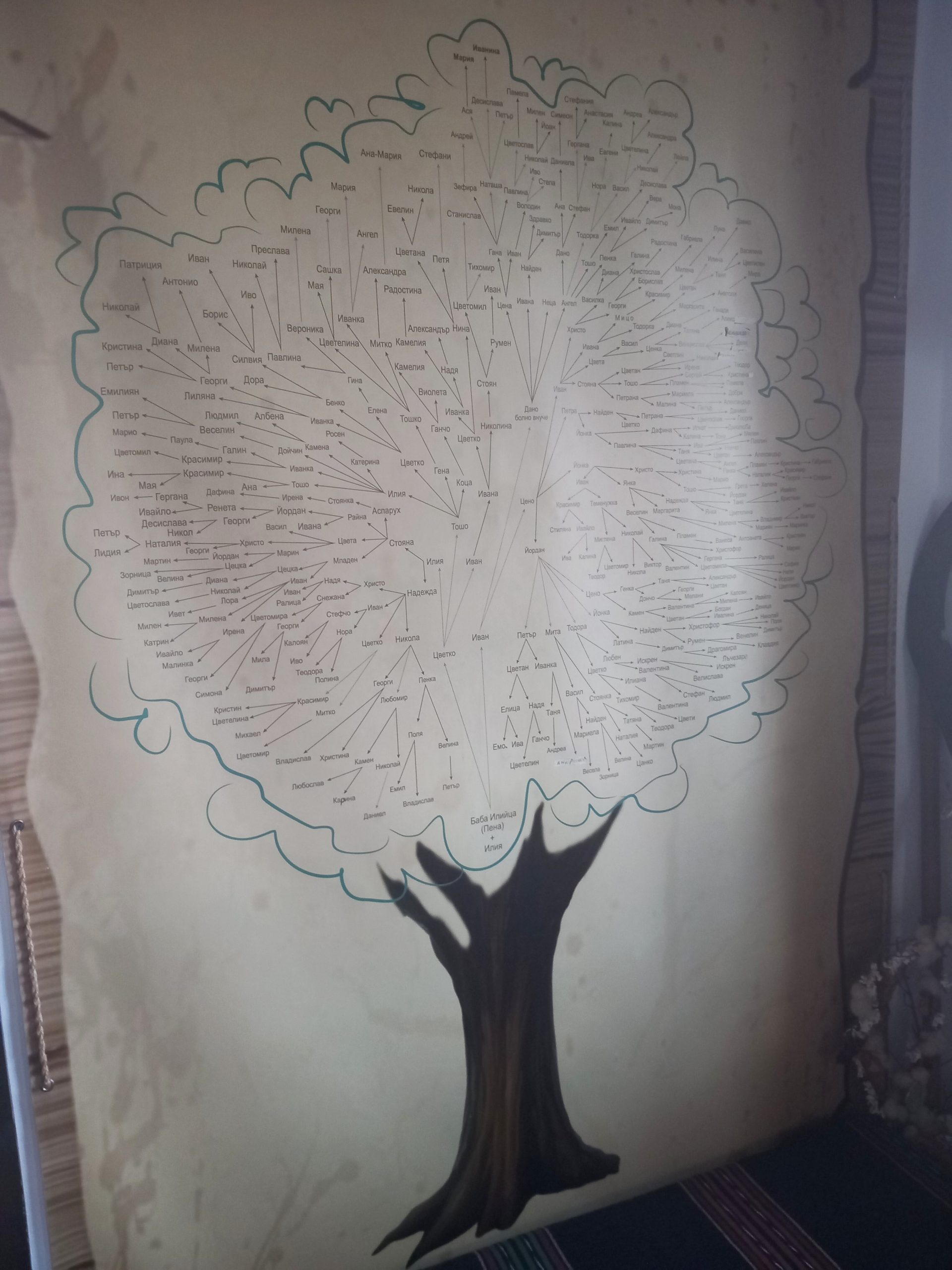 къща-музей на баба Илийца родословно дърво