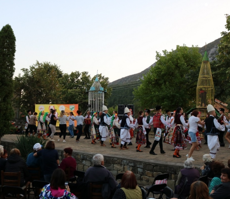 Проведе се I Фестивал на книгата, добрините и традициите в село Челопек