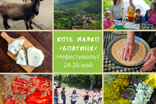 Мариана Асенова за Фестивала „Козе мляко“, забравените села, трансформациите и новото начало
