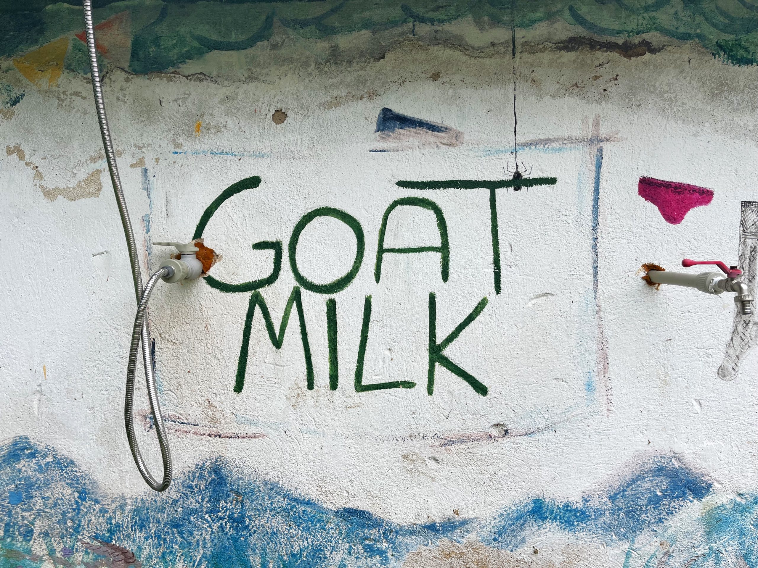 Нефестивалът „Козе мляко“: свързаност с природата при хранене, учене и творчество