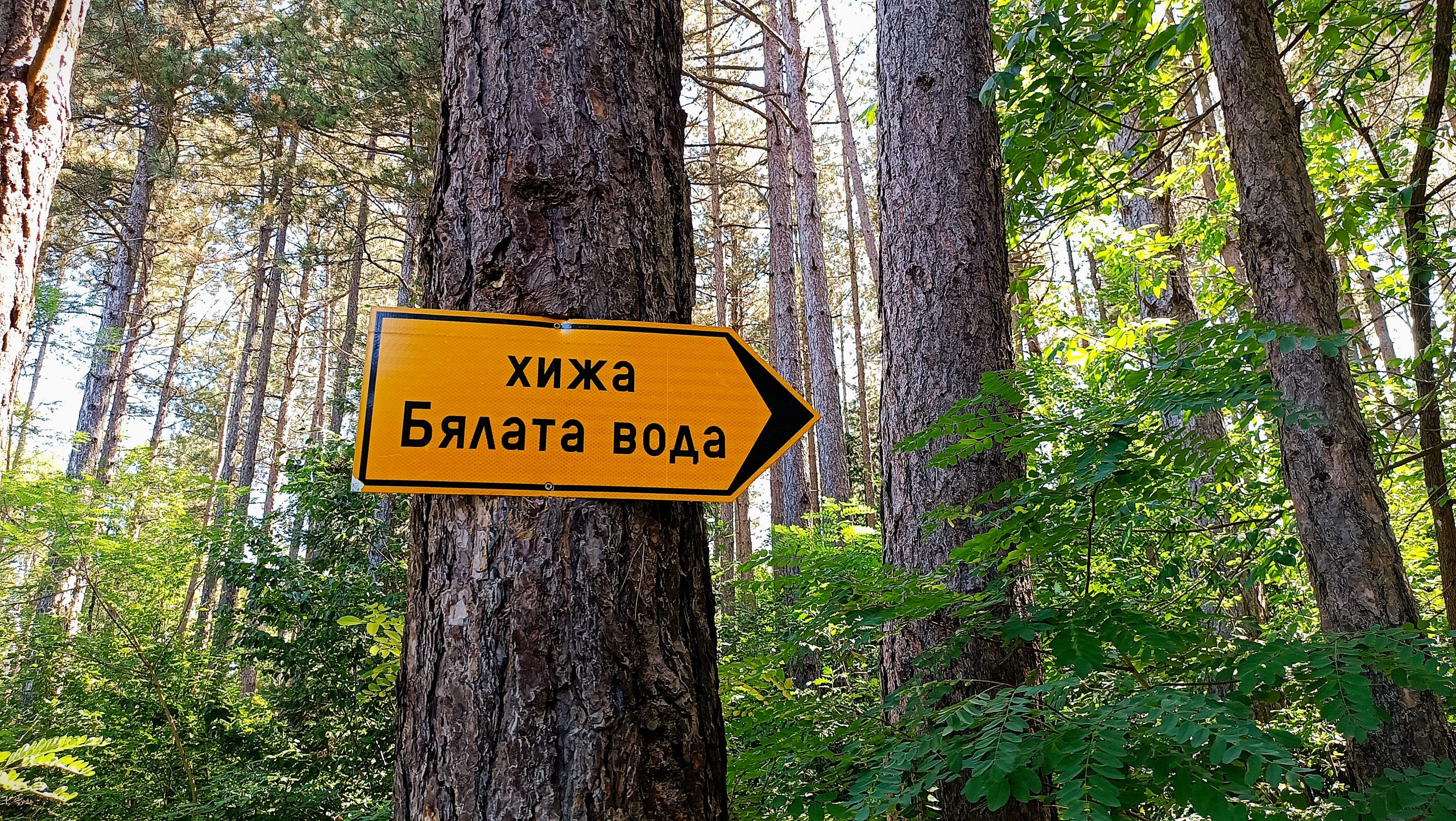 Горска магия, поляни и спомени край Вършец