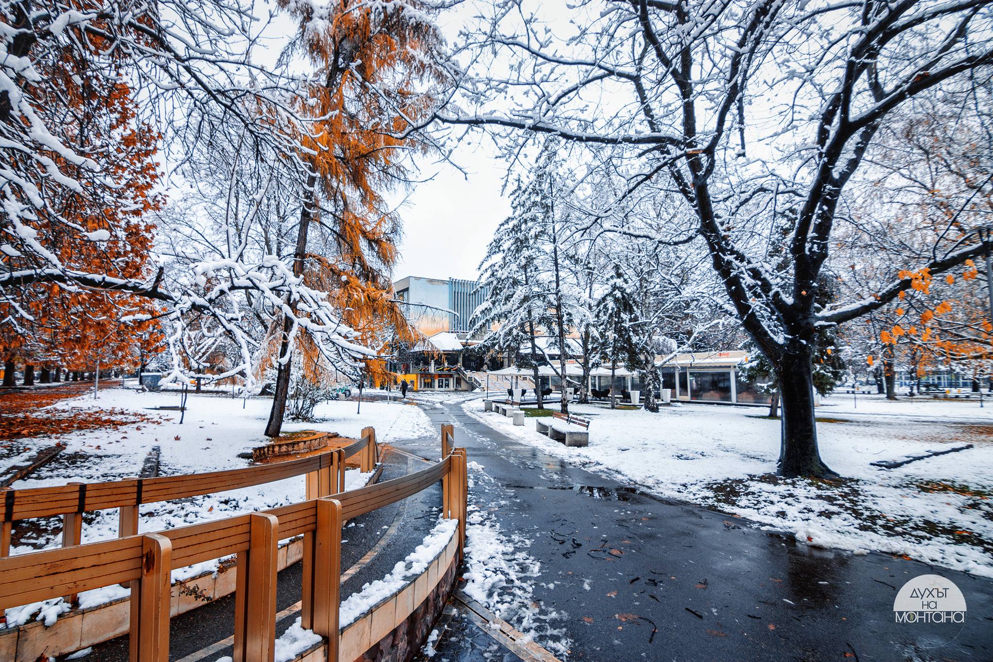 Културен календар на Монтана