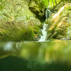 Живителните води на Вършец