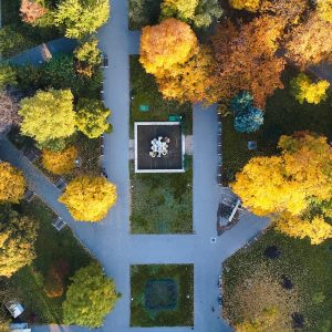 Културен календар на Монтана