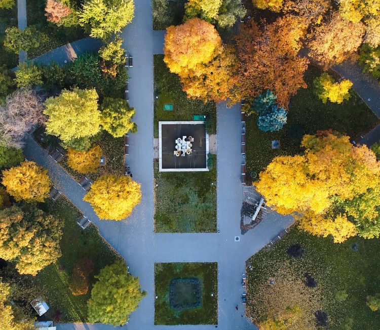 Културен календар на Монтана