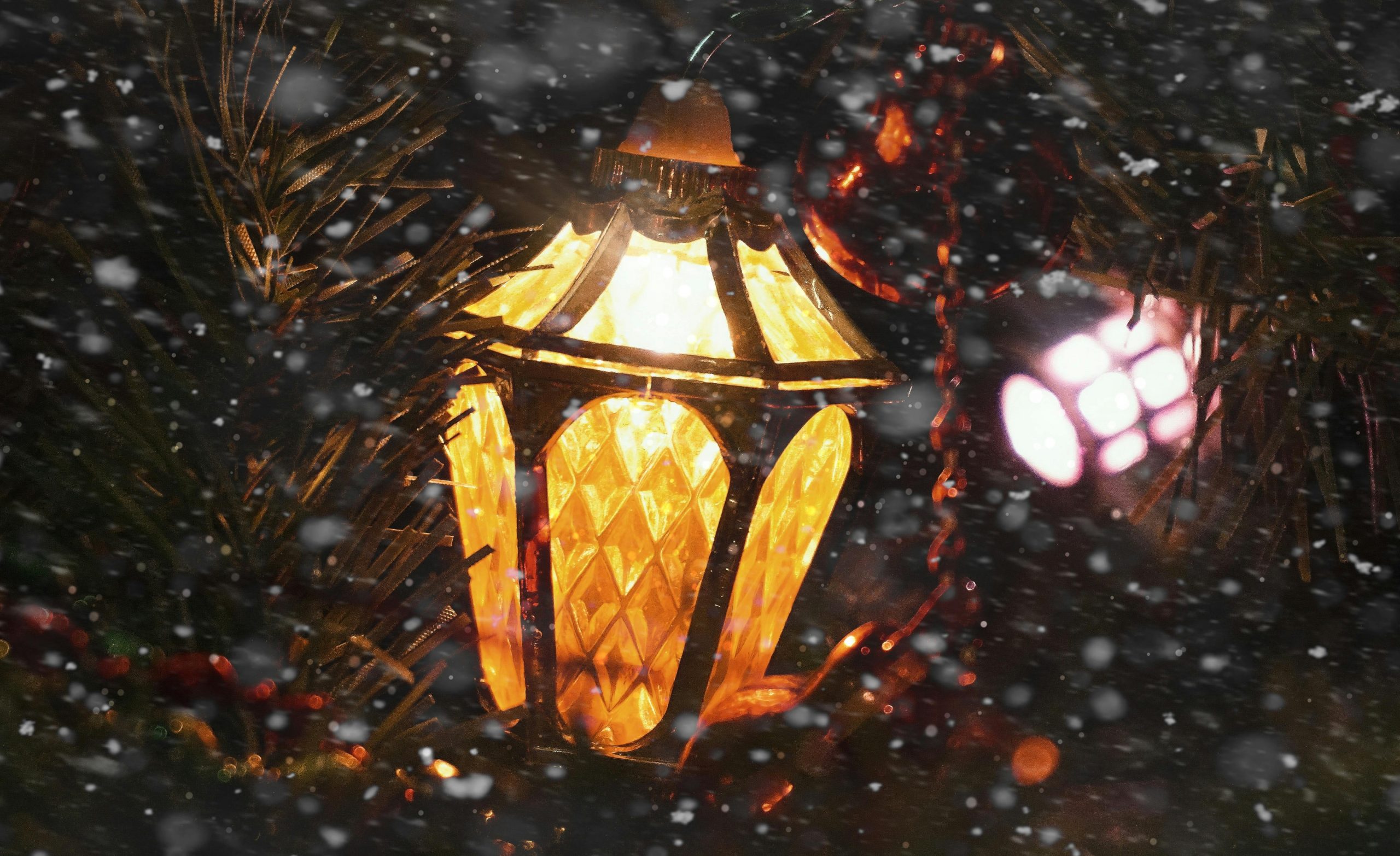 Празнична програма озарява Монтана