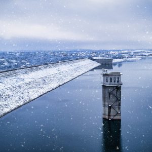 Културен календар на Монтана