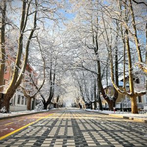 Културен календар на Вършец