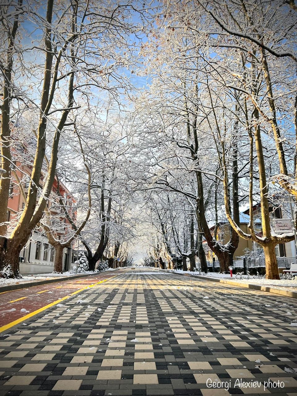 Културен календар на Вършец